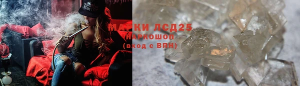 индика Сатка