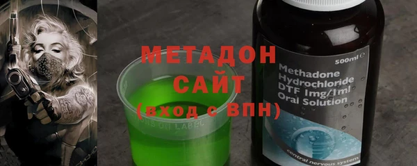 индика Сатка