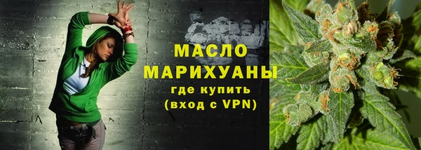 индика Сатка