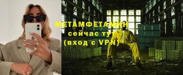 индика Сатка