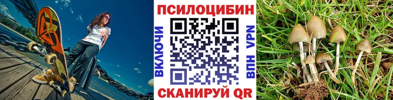 Галлюциногенные грибы Magic Shrooms  гидра ТОР  Кимовск 