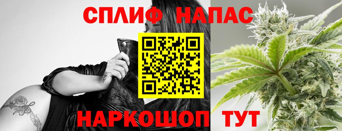 Бошки Шишки VHQ Кимовск